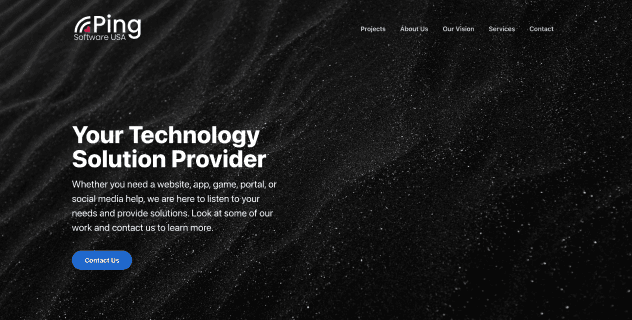 Ping Software USA project screenshot